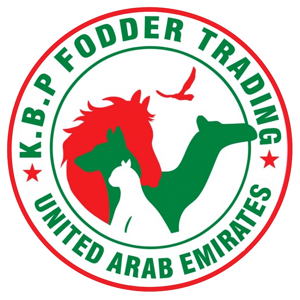 584652865_122123673878991876_6764611027329444515_n