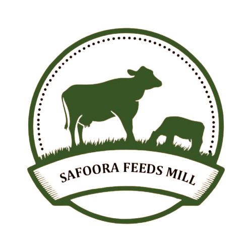 WhatsApp_Image_2026-01-05_at_2.35.15_PM-removebg-preview