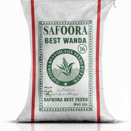 Safoora 16 𝗣𝗿𝗲𝗺𝗶𝘂𝗺 𝗗𝗮𝗶𝗿𝘆 𝗙𝗲𝗲d