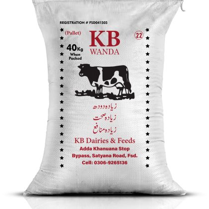Kb 22